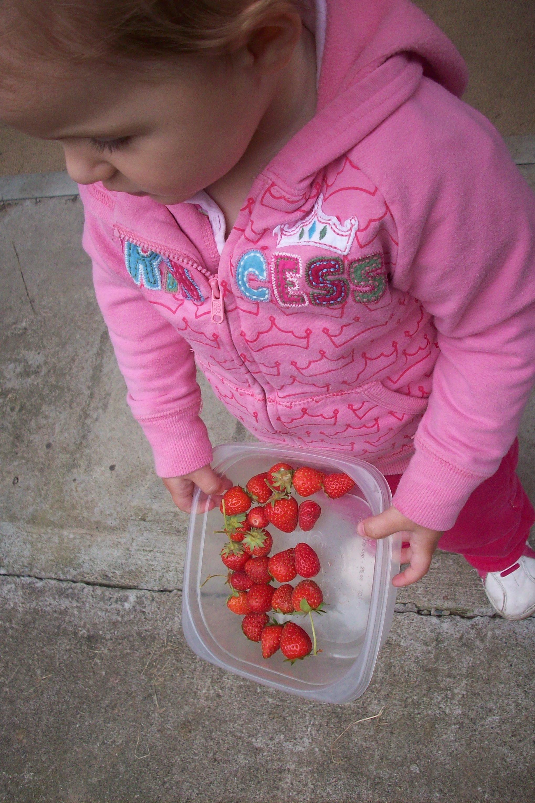 foodstorage